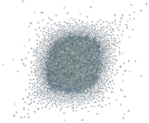 I.P.Y. - Ipy in the group CD / Pop-Rock at Bengans Skivbutik AB (3900157)