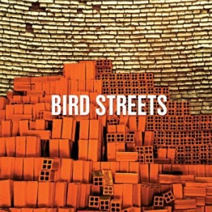 Bird Streets - John Brodeur/Jason Falkner in the group CD / Pop-Rock at Bengans Skivbutik AB (3900431)