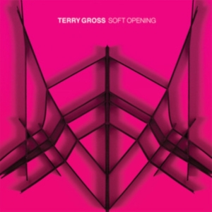 Gross Terry - Soft Opening in the group VINYL / Pop-Rock at Bengans Skivbutik AB (3902049)