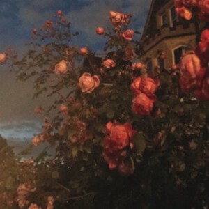 Bence John - Love in the group CD / Pop-Rock at Bengans Skivbutik AB (3902125)