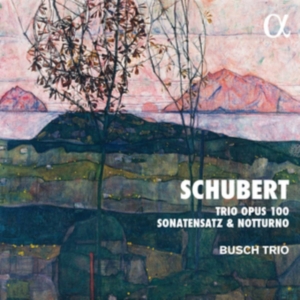 Schubert Franz - Trio, Op. 100 Sonatensatz Notturn in the group Externt_Lager / at Bengans Skivbutik AB (3903495)