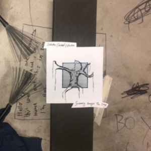 Suburban Cracked Collective - Swimming Amongst The Dregs in the group VINYL / Pop-Rock at Bengans Skivbutik AB (3905164)