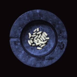 Laura Jane Grace - Stay Alive in the group VINYL / Pop-Rock at Bengans Skivbutik AB (3905178)