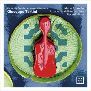 Tartini Giuseppe - Concerti E Sonate Per Violoncello P in the group Externt_Lager /  at Bengans Skivbutik AB (3907147)
