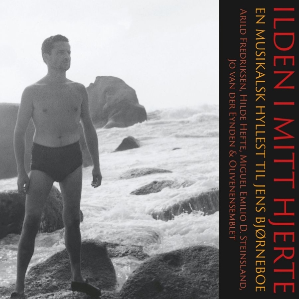Various Artists - Illden I Mitt Hjerte in the group CD / Bestsellers at Bengans Skivbutik AB (3913721)