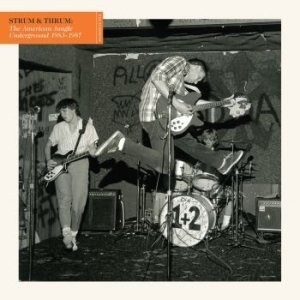 Blandade Artister - Strum & Thrum: The American Jangle in the group VINYL / Rock at Bengans Skivbutik AB (3915331)