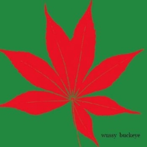 Wussy - Buckeye in the group CD / Pop-Rock at Bengans Skivbutik AB (3917820)