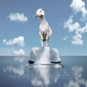 Perpetual Groove - Perpetual Groove in the group VINYL / Rock at Bengans Skivbutik AB (3918764)
