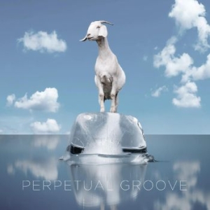 Perpetual Groove - Perpetual Groove in the group VINYL / Pop-Rock at Bengans Skivbutik AB (3918764)