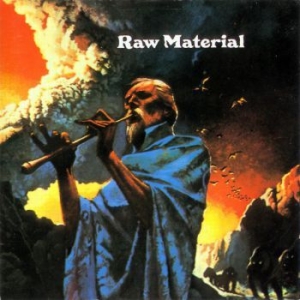 Raw Material - Raw Material in the group CD / Pop-Rock at Bengans Skivbutik AB (3918865)