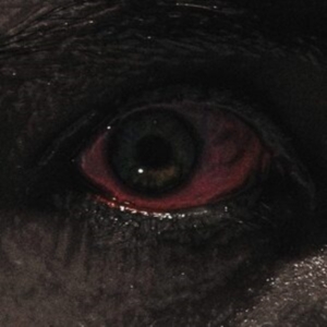 Voreus - Proclamation in the group OTHER / Övrigt /  at Bengans Skivbutik AB (3919423)