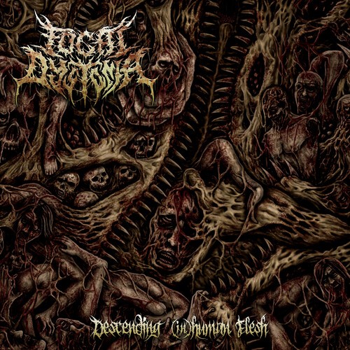 Focal Dystonia - Descending (In)Human Flesh in the group OTHER / Övrigt / at Bengans Skivbutik AB (3919505)
