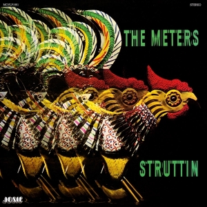 The Meters - Struttin' in the group VINYL / RnB-Soul at Bengans Skivbutik AB (3922642)