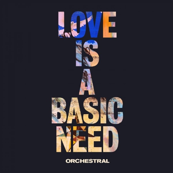 Embrace - Love Is A Basic Need (Orchestral) in the group VINYL / Bestsellers at Bengans Skivbutik AB (3923494)