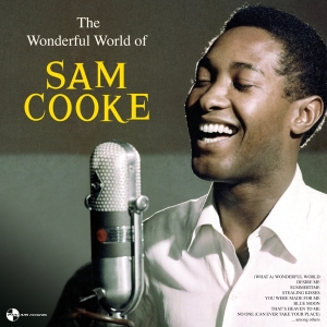 Sam Cooke - The Wonderful World Of Sam Cooke in the group VINYL / RnB-Soul at Bengans Skivbutik AB (3923531)