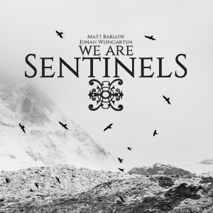 We Are Sentinels - We Are Sentinels in the group CD / Pop-Rock at Bengans Skivbutik AB (3923871)