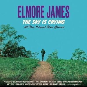 James Elmore - Sky Is Crying in the group CD / Blues,Jazz at Bengans Skivbutik AB (3925080)