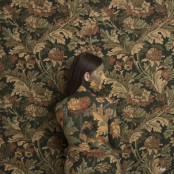 Honeyblood - In Plain Sight -Digi- in the group OTHER / Övrigt / at Bengans Skivbutik AB (3925334)