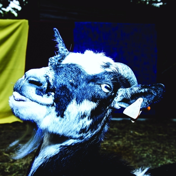 Barely Autumn - Day Trip To The Petting Zoo in the group VINYL / Bestsellers at Bengans Skivbutik AB (3927885)