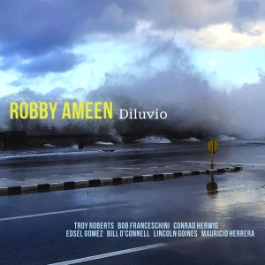 Ameen Robby - Diluvio in the group CD / Jazz at Bengans Skivbutik AB (3928524)