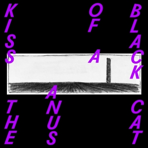 Kiss The Anus Of A Black - If The Sky Falls, We Shall Catch Larks in the group VINYL / Pop-Rock,Övrigt at Bengans Skivbutik AB (3928906)