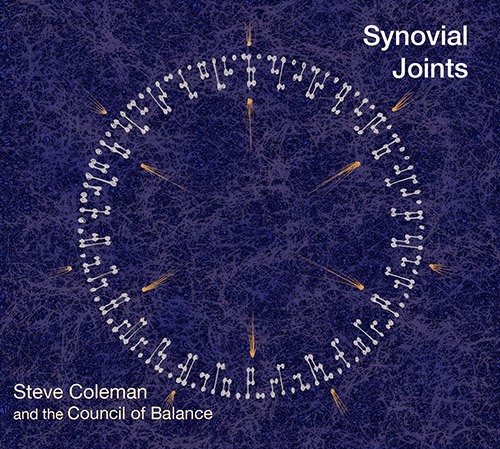 Coleman Steve & The Council Of Balance's - Synovial Joints in the group CD / Jazz/Blues at Bengans Skivbutik AB (3928940)