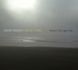 Friesen David -Circle 3 Trio- - Where The Lights Fall in the group CD / Jazz at Bengans Skivbutik AB (3929638)