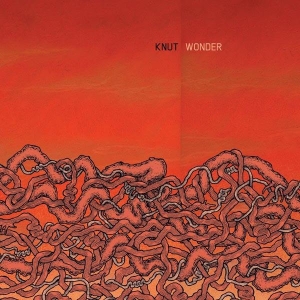 Knut - Wonder in the group CD / Pop-Rock at Bengans Skivbutik AB (3929684)
