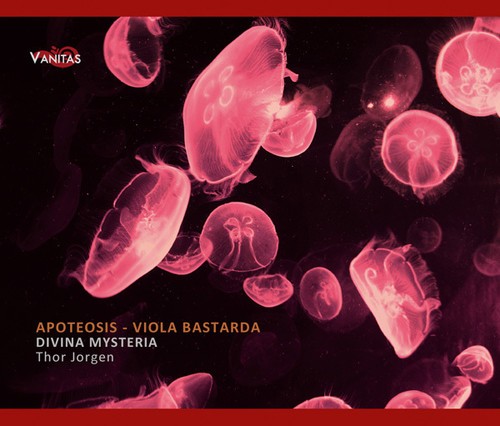 Divina Mysteria - Apoteosis in the group OTHER / Övrigt /  at Bengans Skivbutik AB (3929753)