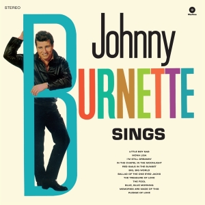 Johnny Burnette - Sings in the group VINYL / Pop-Rock at Bengans Skivbutik AB (3929922)