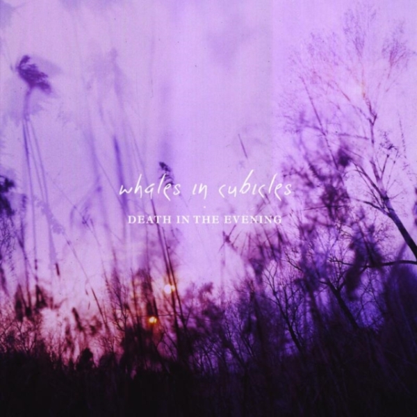 Whales In Cubicles - Death In The Evening in the group OTHER / Övrigt / at Bengans Skivbutik AB (3930330)
