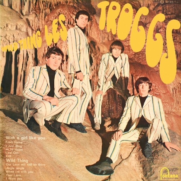 The Troggs - Wild Thing in the group CD / Bestsellers at Bengans Skivbutik AB (3930367)