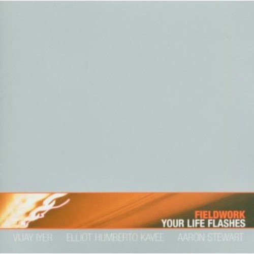 Fieldwork - Your Life Flashes in the group CD / Jazz/Blues at Bengans Skivbutik AB (3932238)