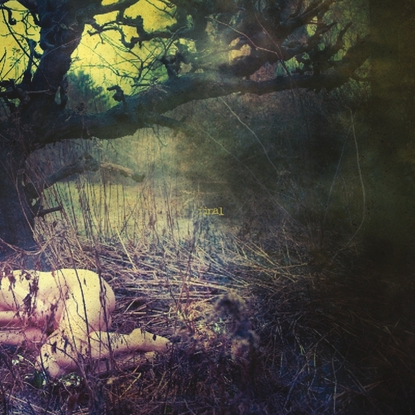 Final - Apple Never Falls Far From The Tree in the group VINYL / Bestsellers at Bengans Skivbutik AB (3933832)