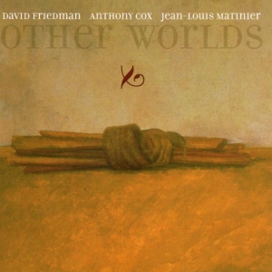 Friedman David - Other Worlds in the group CD / Jazz at Bengans Skivbutik AB (3934119)
