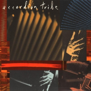 Accordion Tribe - Accordion Tribe in the group CD / Jazz at Bengans Skivbutik AB (3934141)