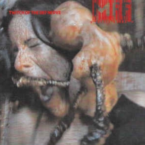 Monkey Farm Frankenstein - Twitch Of Def Nerve in the group CD / Pop-Rock at Bengans Skivbutik AB (3934664)