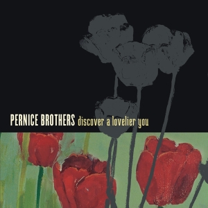 Pernice Brothers - Discover A Lovelier You in the group CD / Pop-Rock,Övrigt at Bengans Skivbutik AB (3934897)