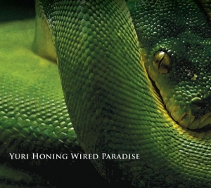 Honing Yuri -Wired Paradise- - Temptation in the group CD / Jazz at Bengans Skivbutik AB (3935340)