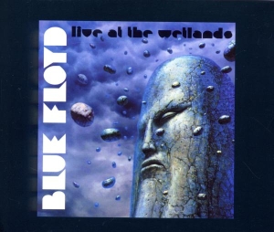 Blue Floyd - Live At The Wetlands in the group CD / Rock at Bengans Skivbutik AB (3935505)