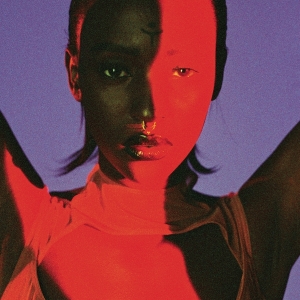 Lous And The Yakuza - Gore in the group VINYL / Hip Hop-Rap at Bengans Skivbutik AB (3935726)