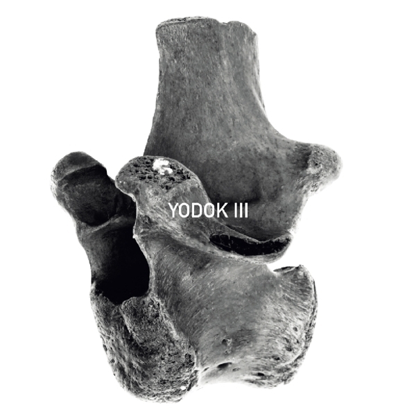 Yodok III - Yodok III in the group CD / Bestsellers at Bengans Skivbutik AB (3936723)