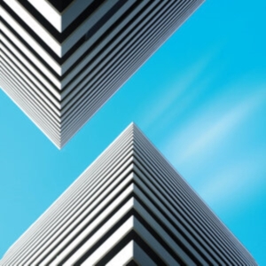 Snow Palms - Land Waves in the group Labels / Woah Dad /  at Bengans Skivbutik AB (3942368)