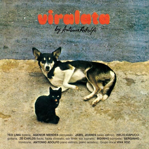 Antonio Adolfo - Viralata in the group VINYL / Worldmusic/ Folkmusik at Bengans Skivbutik AB (3948882)
