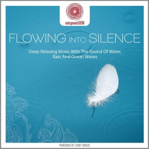 Buchert Jens - Entspanntsein - Flowing Into Silence (Deep Relaxing Music With The Sound Of Water, Rain And Ocean Wa in the group OTHER / Övrigt /  at Bengans Skivbutik AB (3950960)