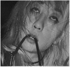 Evicshen - Hair Birth in the group VINYL / Pop-Rock at Bengans Skivbutik AB (3951151)