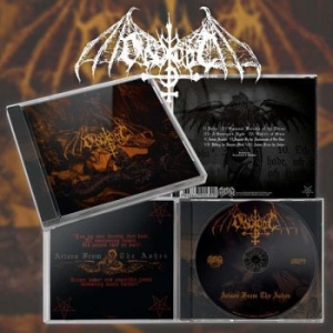Ondskapt - Arisen From The Ashes in the group CD / Hårdrock/ Heavy metal at Bengans Skivbutik AB (3952148)