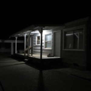 Jurado Damien - Birds Tricked Into The Trees (Coke Bottl in the group OTHER / Övrigt /  at Bengans Skivbutik AB (3953076)