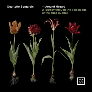 Various - Around Mozart - A Journey Through T in the group Externt_Lager /  at Bengans Skivbutik AB (3957432)