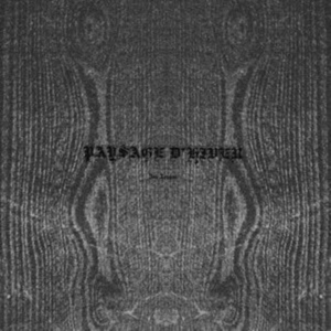 Paysage D'hiver - Im Traum (10